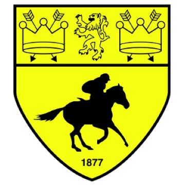 Newmarket Town