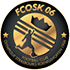 FCO Strasbourg Koenigshoffen