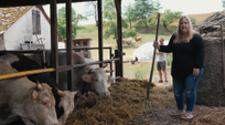 Šárka z Proměn chtěla život ze Sexu ve městě, ale skončila na farmě