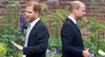 Královská svatba rozdělila bratry. Harry a Meghan nejsou zvaní