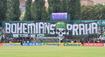 Trávník v Ďolíčku napadla plíseň. Bohemians přiznali chybu, mluví o ostudě