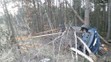 Auto vyletělo z dálnice do lesa