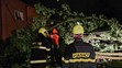 Následky bouře ve městě Hlučín (2)