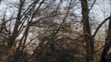 2014-01-04_Volejte-Machova - VTHUMB