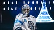 Dres týmu Bílí Tygři Liberec