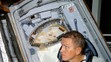 Frank Borman na misi Gemini 7, 1965