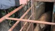 Podmínky v chovu na Turnovsku