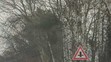 Řidič nadýchal 2,5 promile