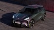Cupra Raval