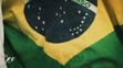 FA_FORMULE_1_VC_BRAZILIE_24_11_13-SELF-U061788 - VTHUMB