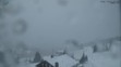 Sněžení 30.11. 2016 - Pec pod Sněžkou