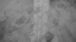 Rentgeny - 2