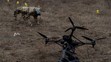 Robotický pes a dron využívající optická vlákna