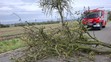 Následky silného větru v Olomouckém kraji