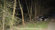 Muž na Zlínsku najel na svou přítelkyni a poté narazil do stromu - 1