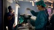 Pražský den robotické chirurgie-3