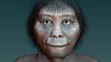 Homo floresiensis (3)