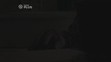 2013-07-18_VOYO-HD-Doktori-z-Pocatku-B018704-NP - VTHUMB