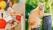 Vtipné fotografie koček - 2
