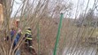 Středočeští hasiči vyprošťovali z rybníku velblouda
