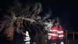 Vítr: Padlý strom na trať