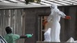 Takhle vypadá ebola - 1