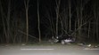 Muž na Zlínsku najel na svou přítelkyni a poté narazil do stromu - 2