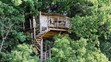 Tree house - 15