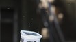 GALERIE: Tisíce nakažených komárů - 4