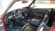 Mustang - 12