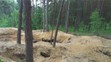 Rozkopaný les - 3