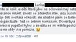 Komentáře lidí na facebooku ke spalničkám - 5