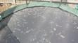 Lišky na trampolíně - 2