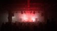 Signal Festival (1)
