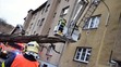 Spadlý strom v Ostravě (3)