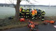 Auto v Třemošnici narazilo do stromu - 2