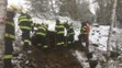 Boj o život psa ve skalách u Bernartic - 2