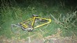 Na cyklisty spadl strom - 2