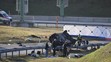 V Německu havarovalo auto s migranty (3)