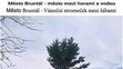 Vánoční stromy ve městech 2019 - 5