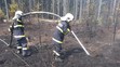 Rozsáhlý požár lesa nedaleko železniční trati u Pňovan - 8