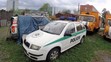 Fabia - 19