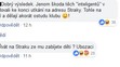 Fanoušci Slavie nadávali trenérovi Strakovi