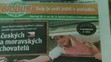 Polská vejce prodávali jako česká - 3