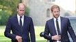 Princ William princ Harry