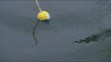 2014-2-4_prask_NOVA0M5T - VTHUMB