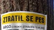 Ztracený pes (1)
