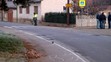 Vražda ve Veliké Vsi - 2