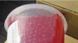 Nebezpečné želé kuličky pro přípravu Bubble tea - 1