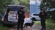 Policisté pátrají po majiteli fenky, který zmizel u Velkého Boleveckého rybníka v Plzni